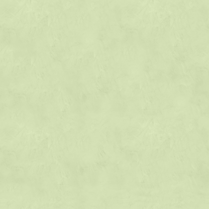 Marmorino FINE T-Colore Cinque