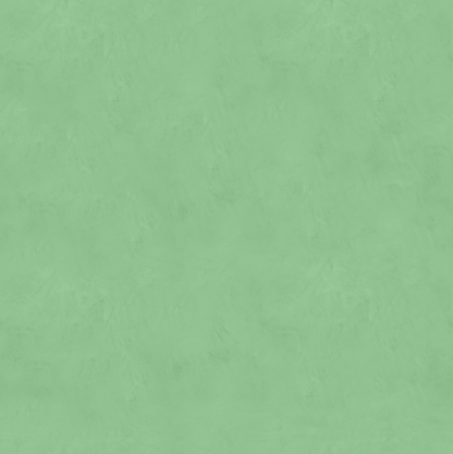 Marmorino FINE T-Colore Cinque