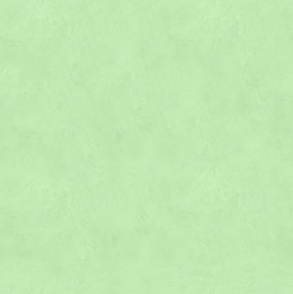 Marmorino FINE T-Colore Cinque