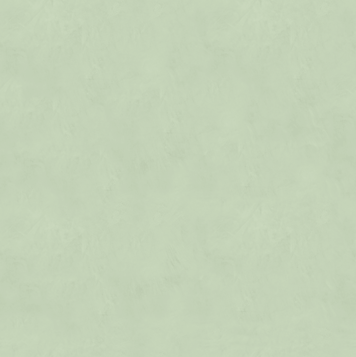 Marmorino FINE T-Colore Cinque