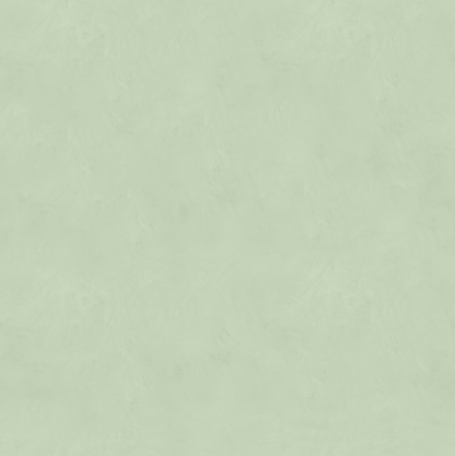 Marmorino FINE T-Colore Cinque