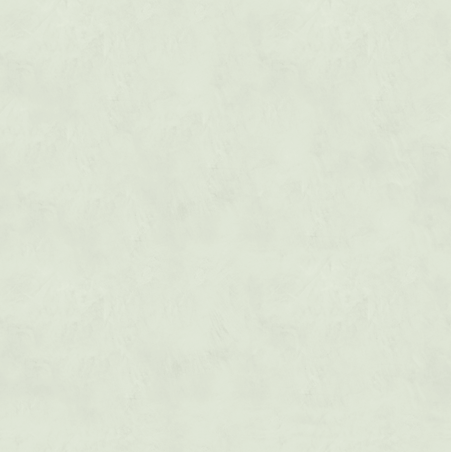 Marmorino FINE T-Colore Cinque