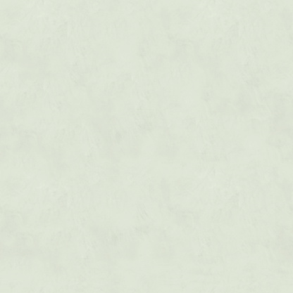 Marmorino FINE T-Colore Cinque