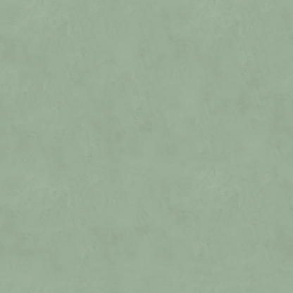 Marmorino FINE T-Colore Cinque