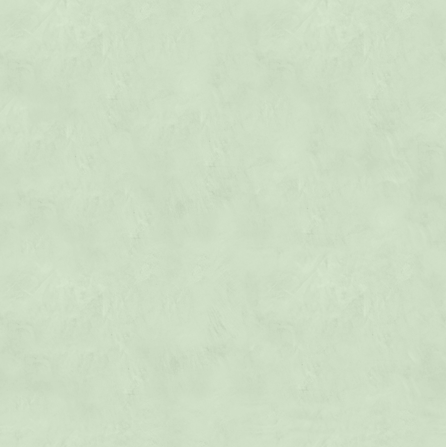 Marmorino FINE T-Colore Cinque