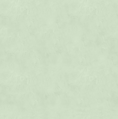 Marmorino FINE T-Colore Cinque