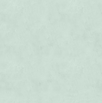 Marmorino FINE T-Colore Cinque