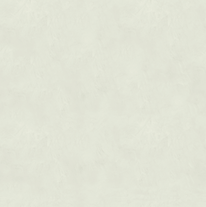 Marmorino FINE T-Colore Cinque