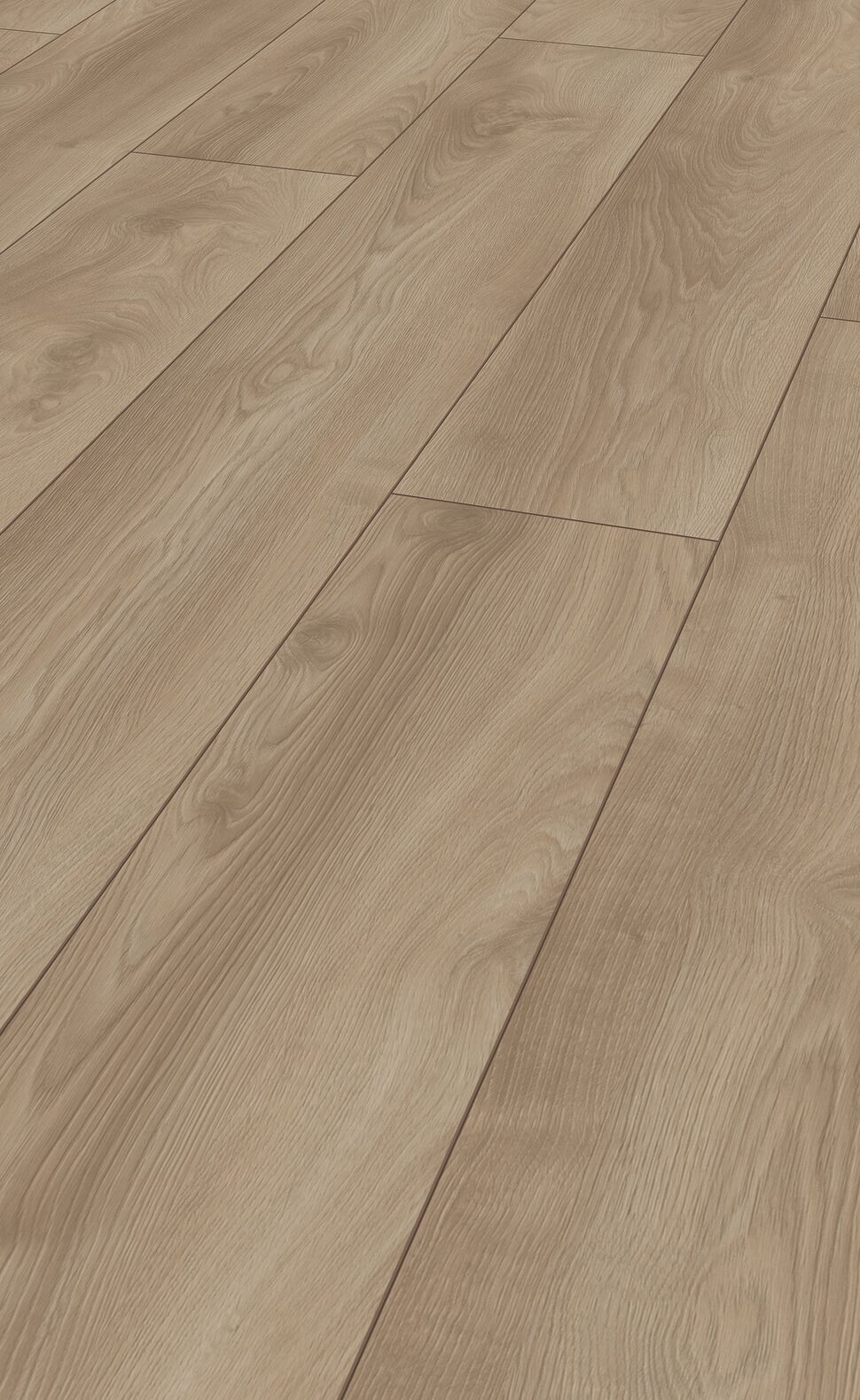 RESIDENCE Makro Oak Light ML1012