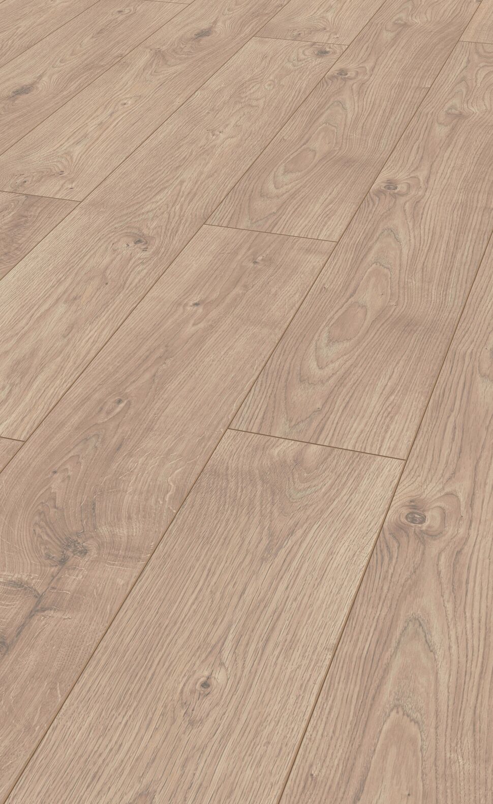 COTTAGE Atlas Oak Beige MV808