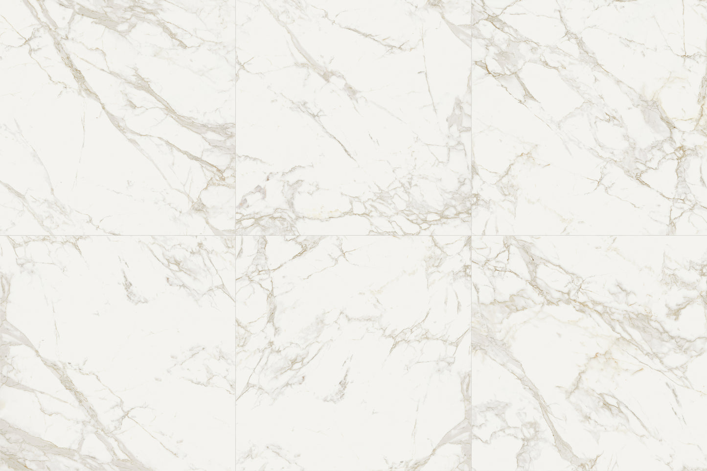 ON STAGE BOULEVARD  120X120 RMV240X360