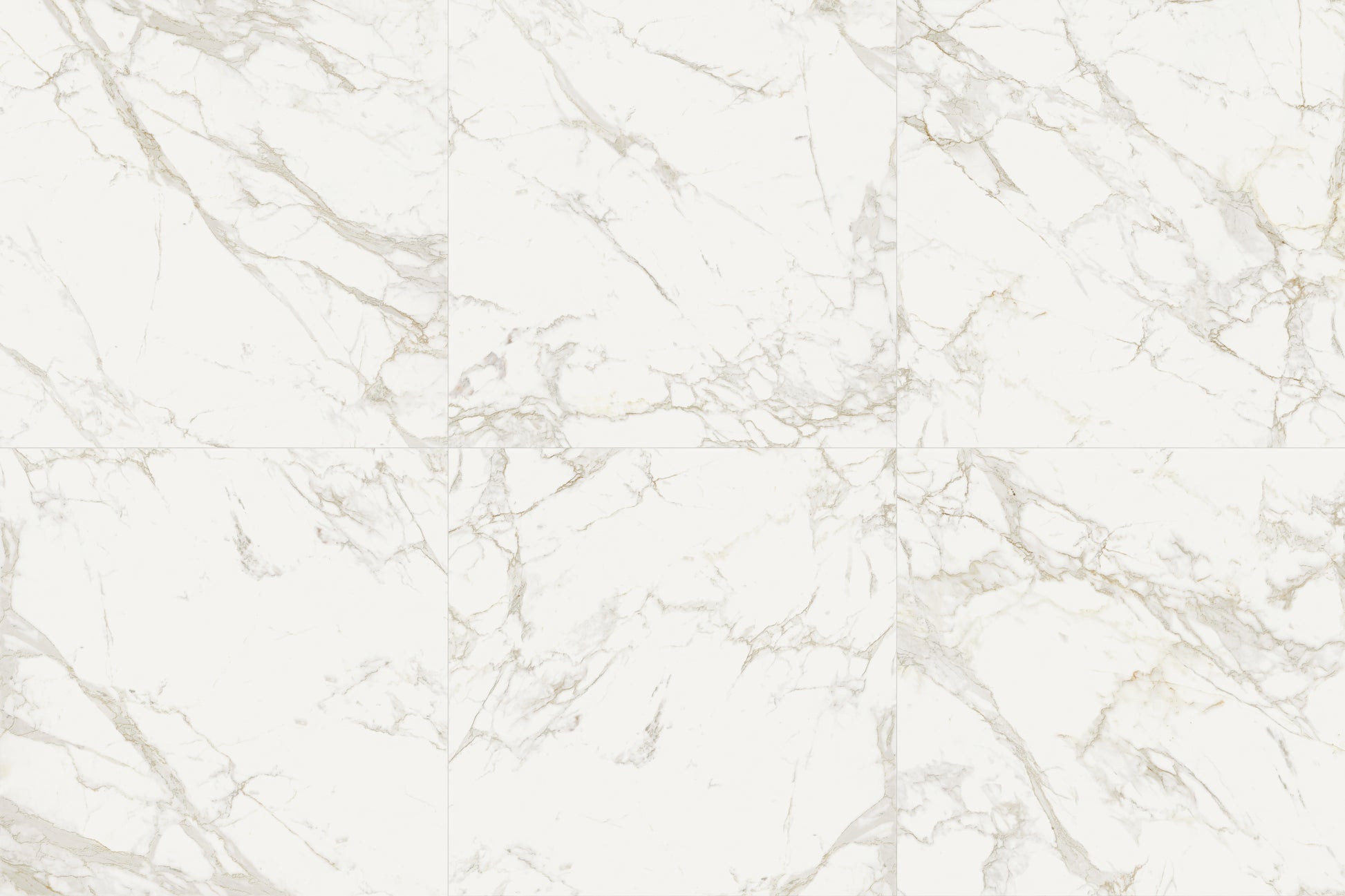 ON STAGE BOULEVARD  120X120 RMV240X360