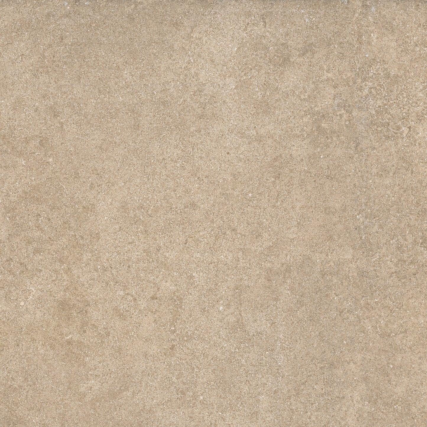 OZONE TAUPE  60X60