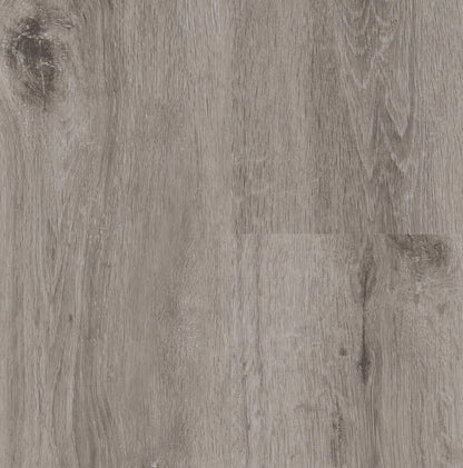 SPC WOOD Aspen Oak P1002