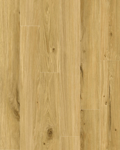 SPC WOOD Honey Oak P7001 RMV120X150
