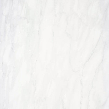 PERSIA WHITE HOME RMV59.2x59.2