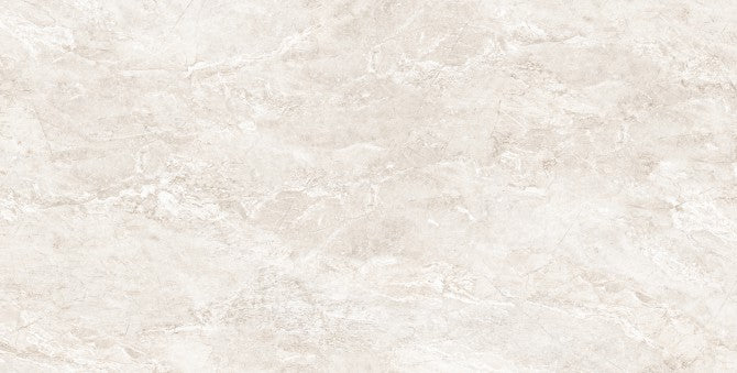 PREMIUM IVORY RMV60x120