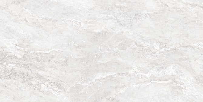 PREMIUM SILVER RMV60x120