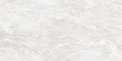 PREMIUM SILVER RMV60x120