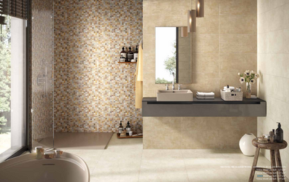 PICTURA TERRE SOFT 30x60