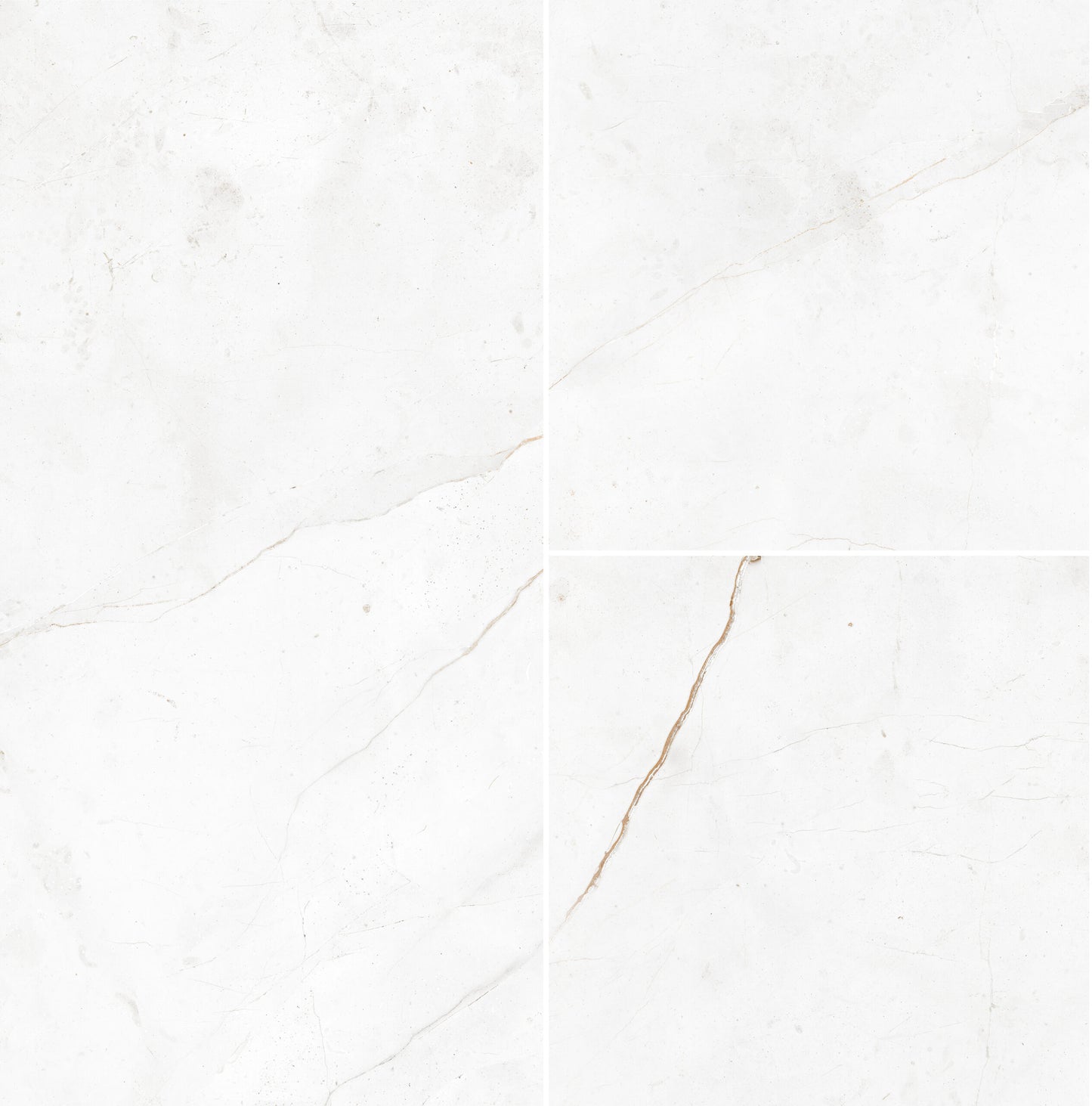 SPC STONE Marmorata Chiara Q1004 RMV80X80