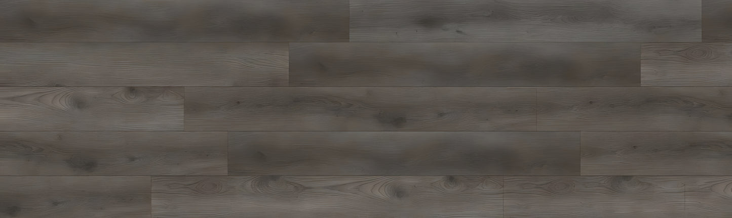 SPC TIGER Legal REASCT003 RMV114X385