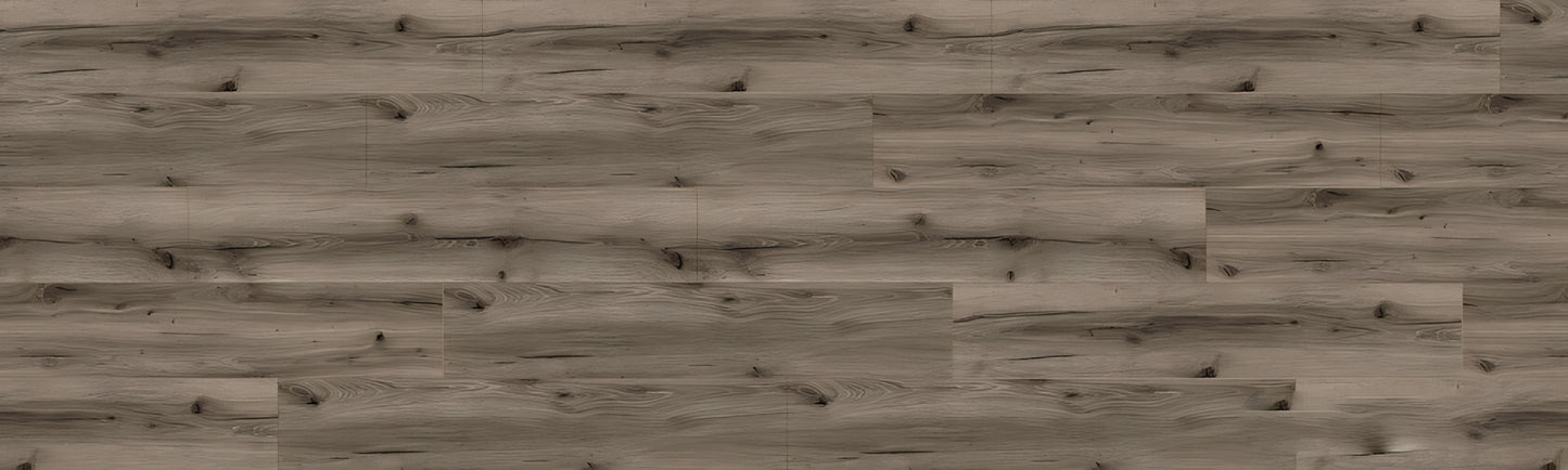 SPC CROCODILE Crazeee REAUCC002 RMV115X375