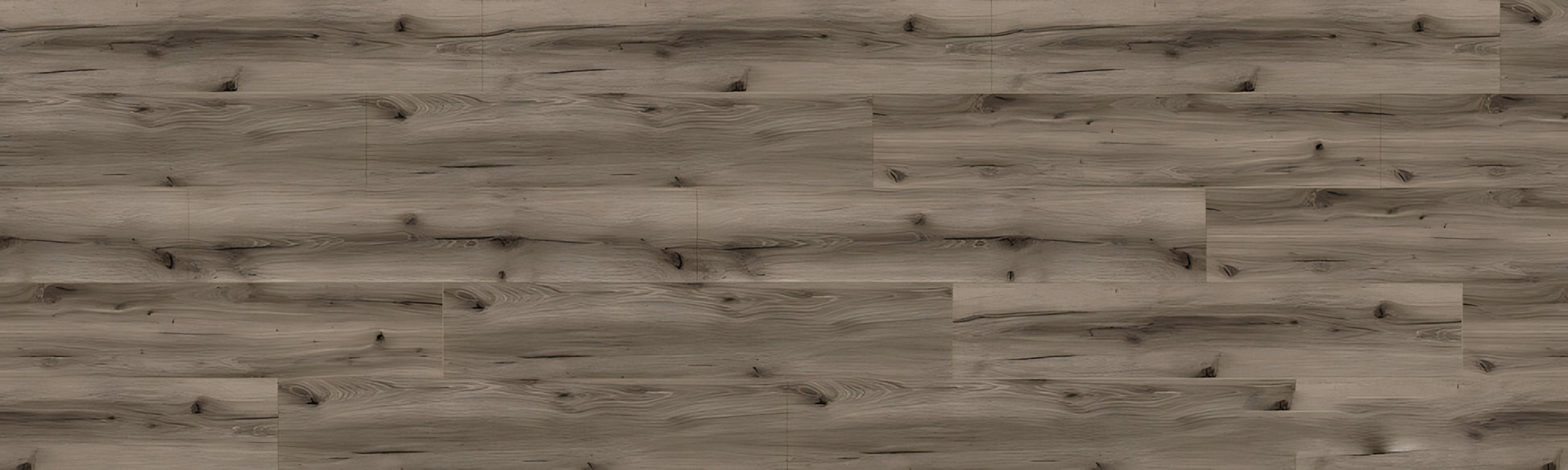 SPC CROCODILE Crazeee REAUCC002 RMV115X375