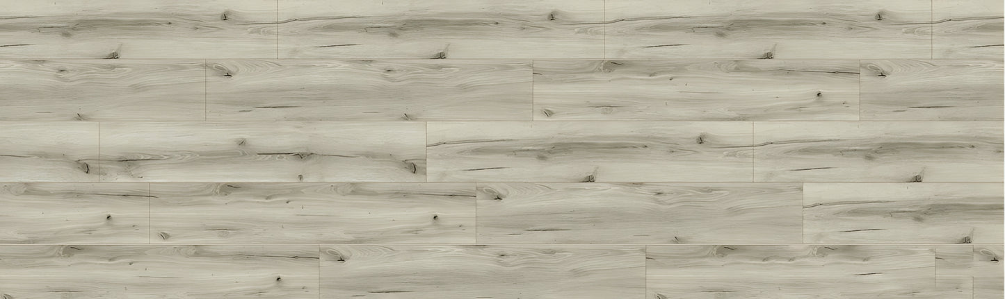 SPC CROCODILE Boss REAUCC003 RMV375X115