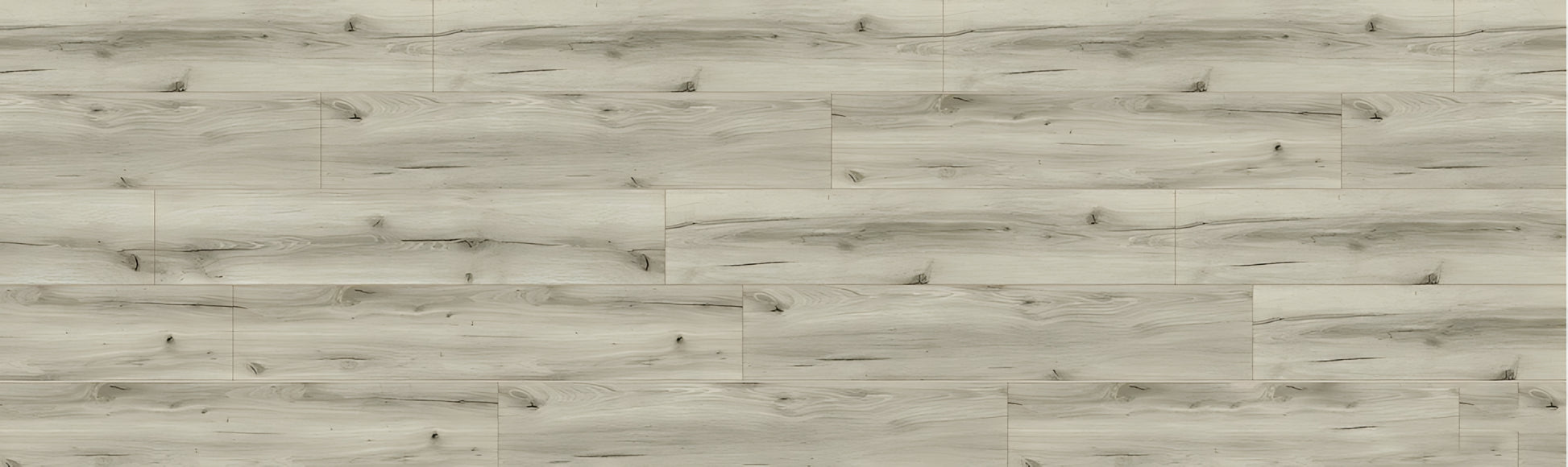 SPC CROCODILE Boss REAUCC003 RMV375X115