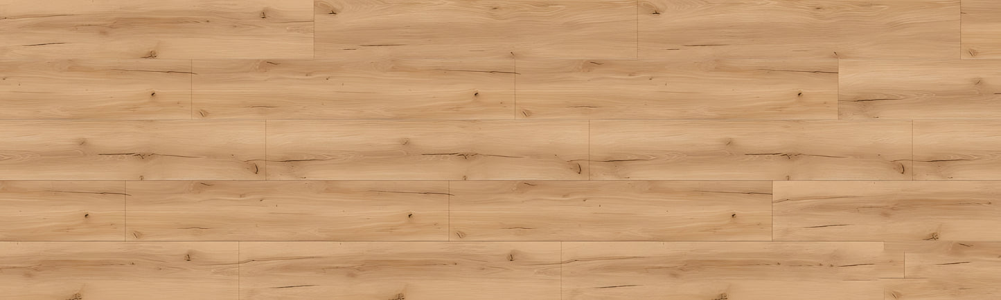 SPC CROCODILE Less REAUCC004 RMV115X375