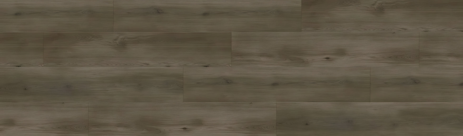 SPC GRIZZLY Bankster RENACG002 RMV90X300