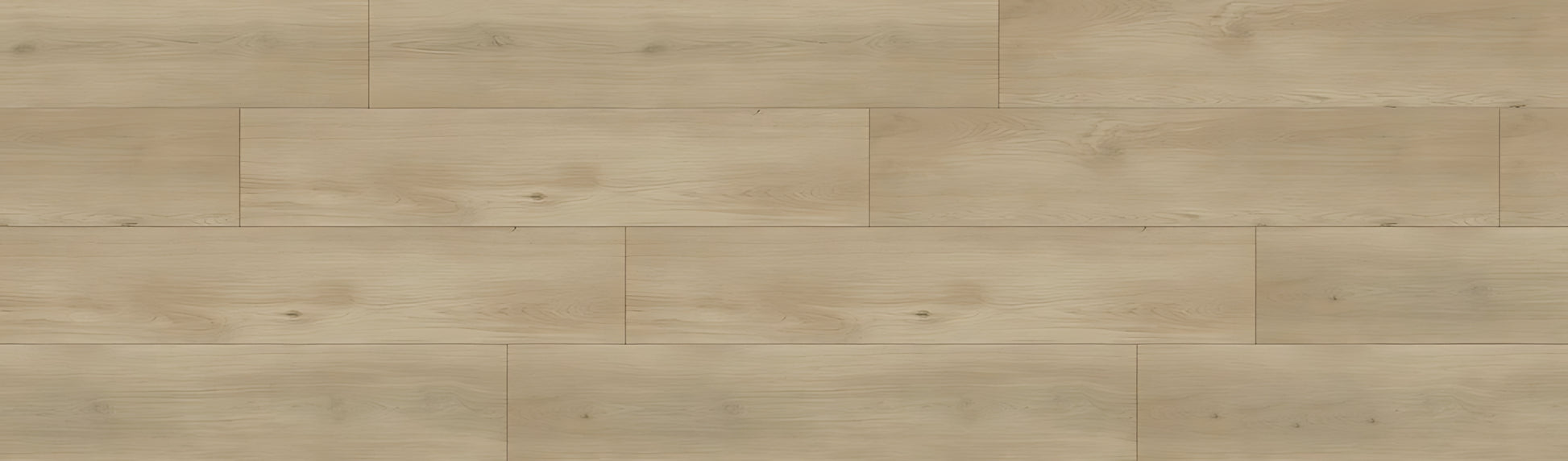 SPC GRIZZLY Babo RENACG005 RMV90X300