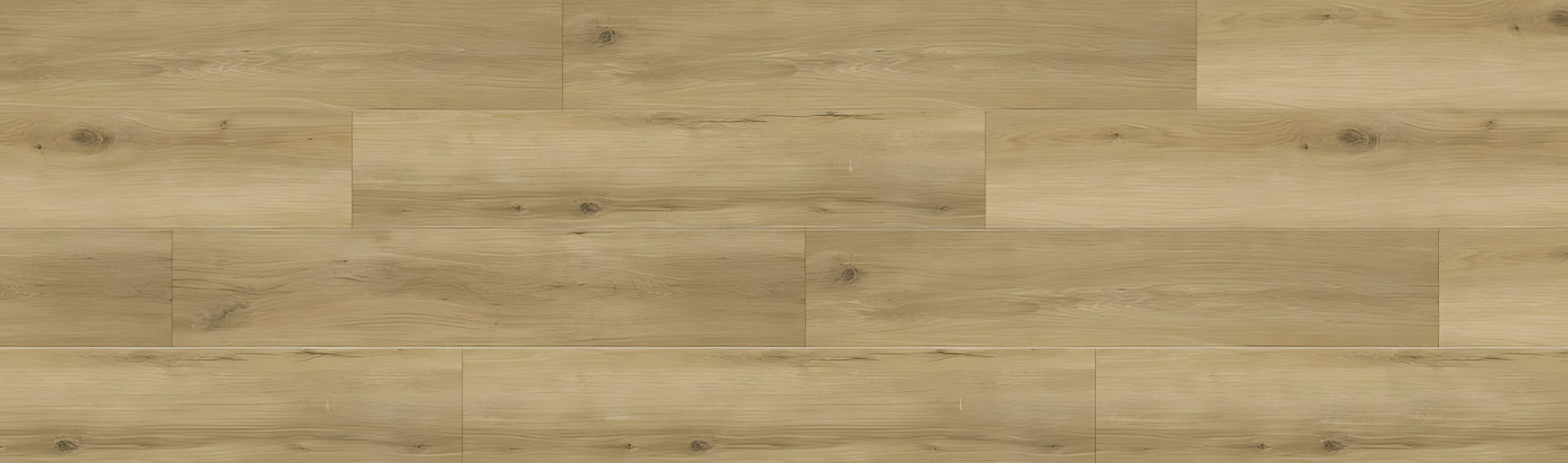 SPC GRIZZLY Lost RENACG007 RMV90X300