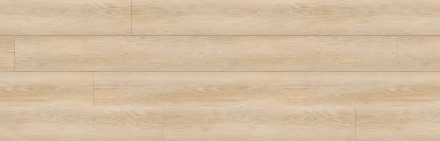 SPC GRIZZLY Fame RENACG008 RMV90X280