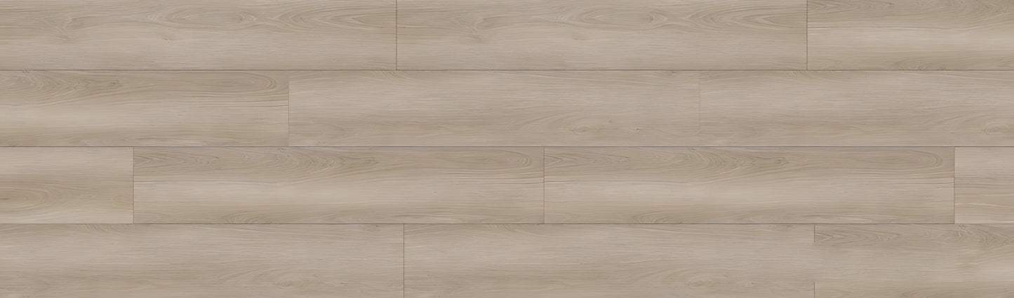 SPC GRIZZLY Bug RENACG011 RMV90X300