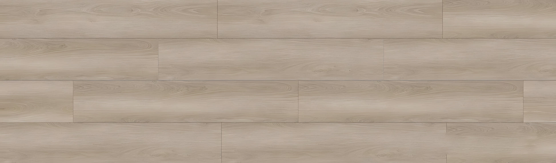 SPC GRIZZLY Bug RENACG011 RMV90X300