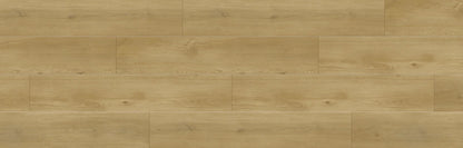 SPC GRIZZLY Wyld RENACG012 RMV90X280