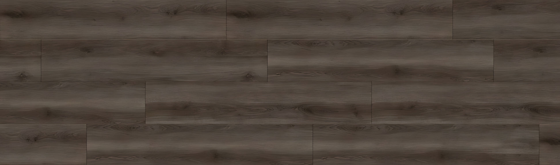 SPC GRIZZLY Buzz RENACG015 RMV90X300