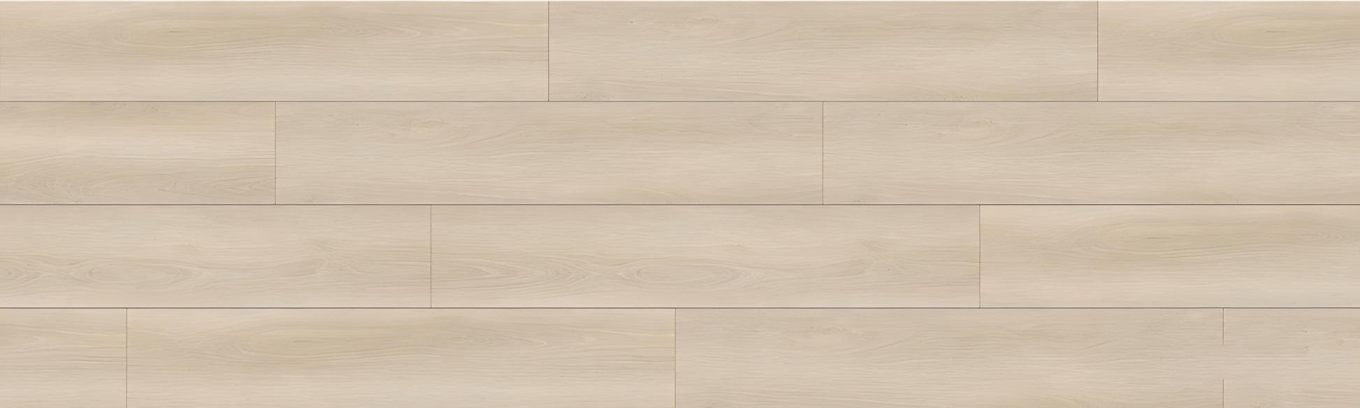 SPC GRIZZLY Bash RENACG001 RMV90X300