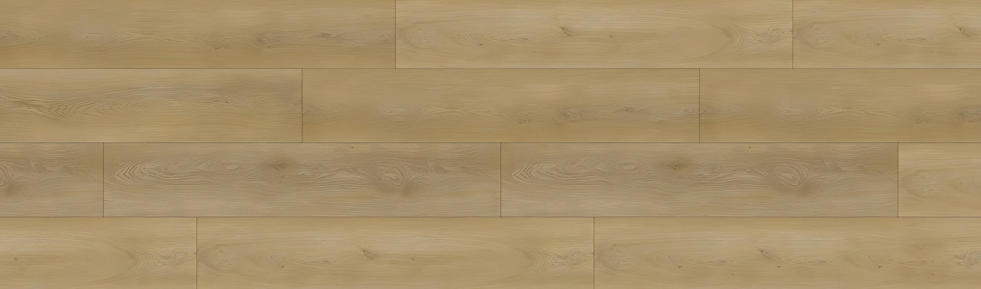 SPC GRIZZLY Fly RENACG010 RMV90X300