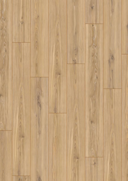 ROBUSTO Phalsbourg Oak D3073 RMV135X185