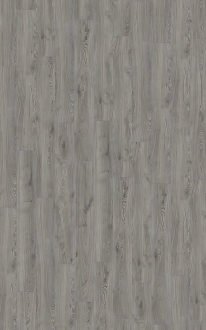 ROBUSTO Timeless Oak Grey D3571 RMV200X320