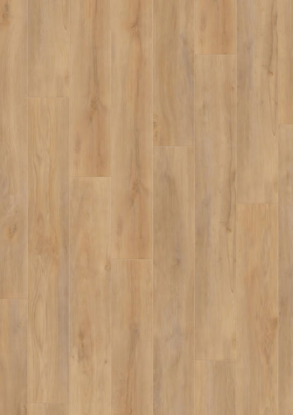 ROBUSTO Premium Oak D4954 RMV135X185