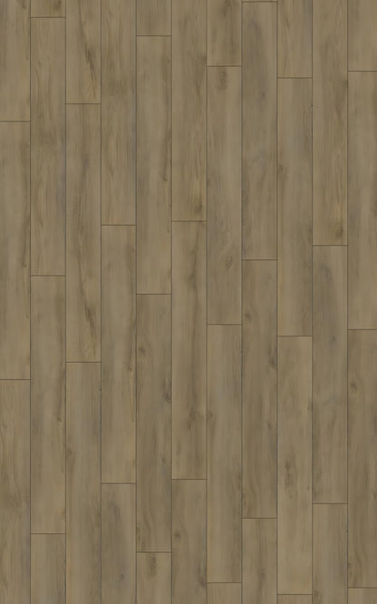 ROBUSTO Premium Oak Brown D4957 RMV200X320