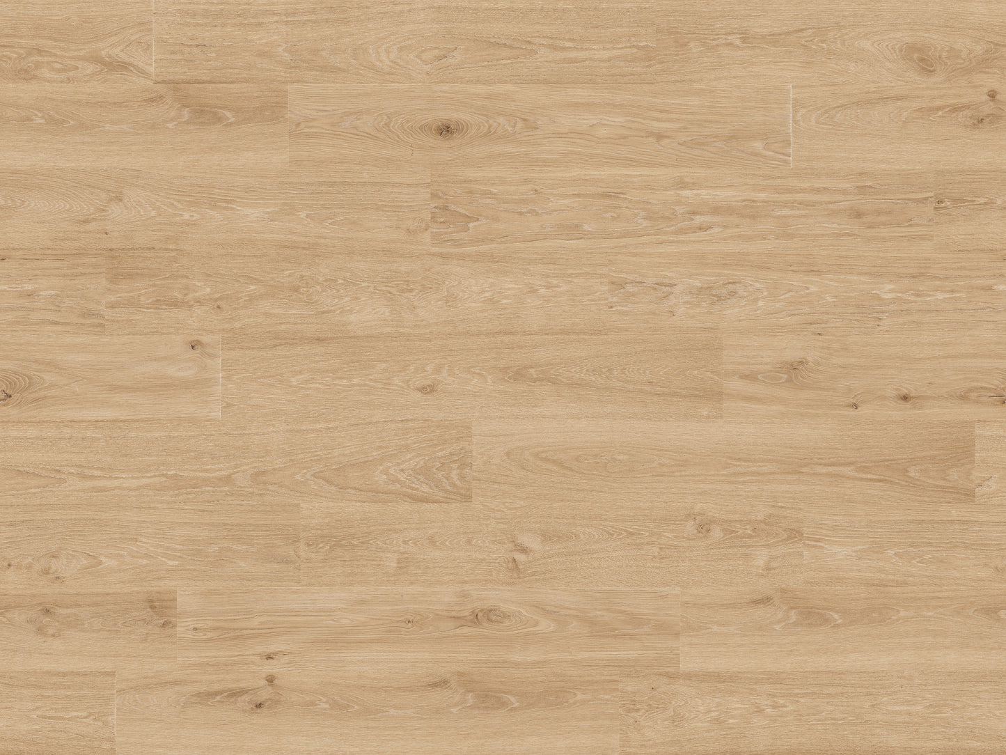 RMV180X240
