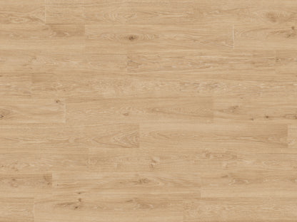RMV180X240