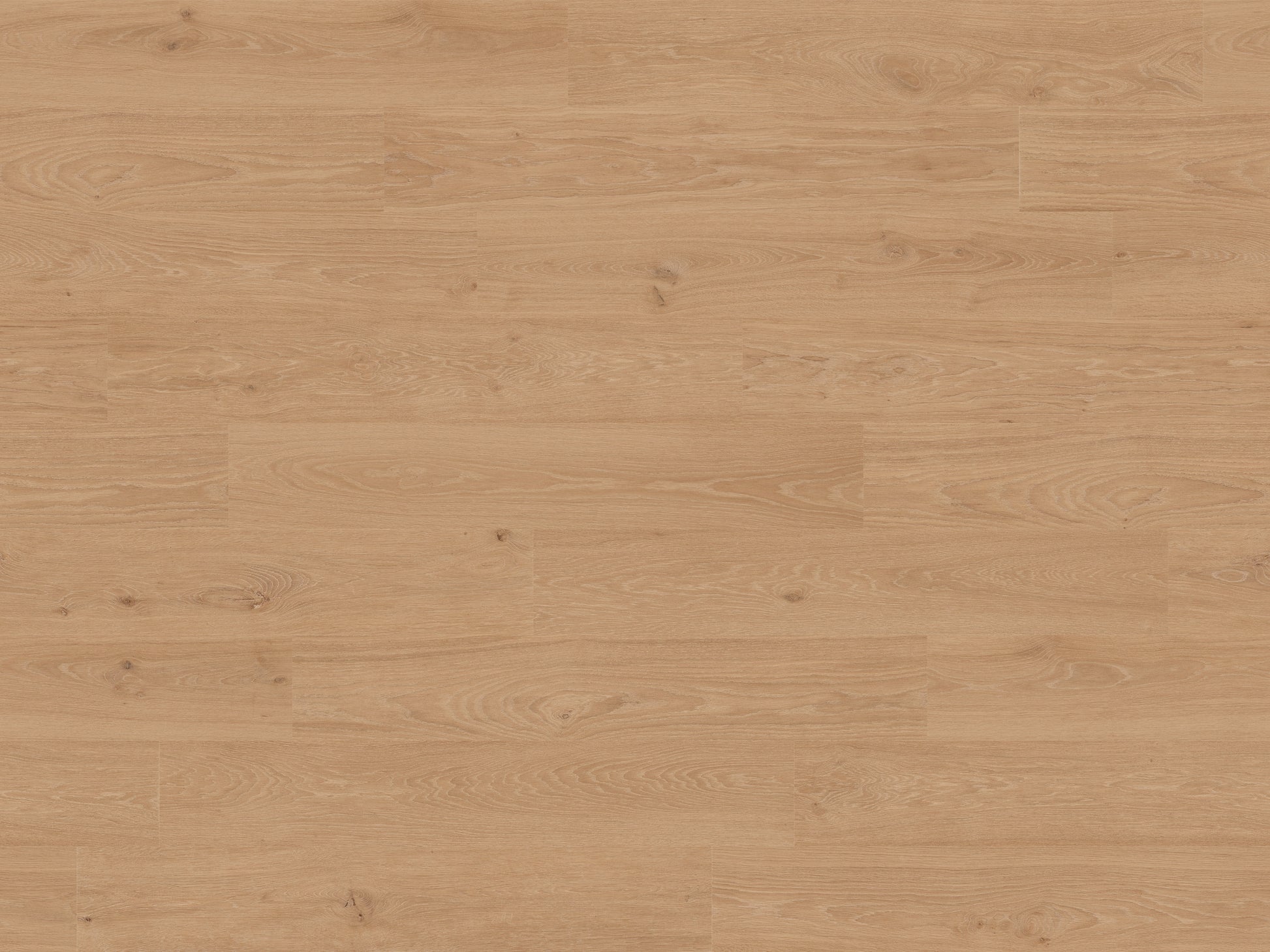RMV180X240