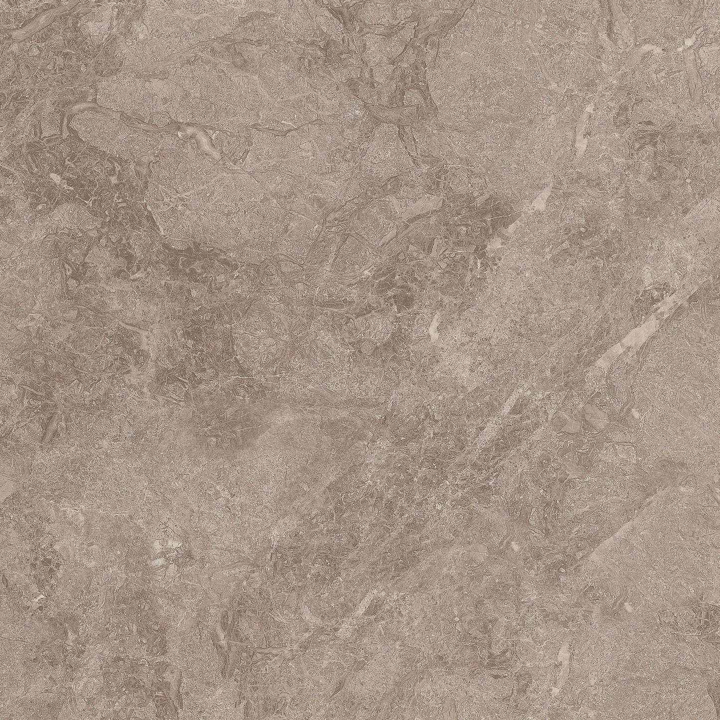 TITANIUM BROWN RMV59.2x59.2