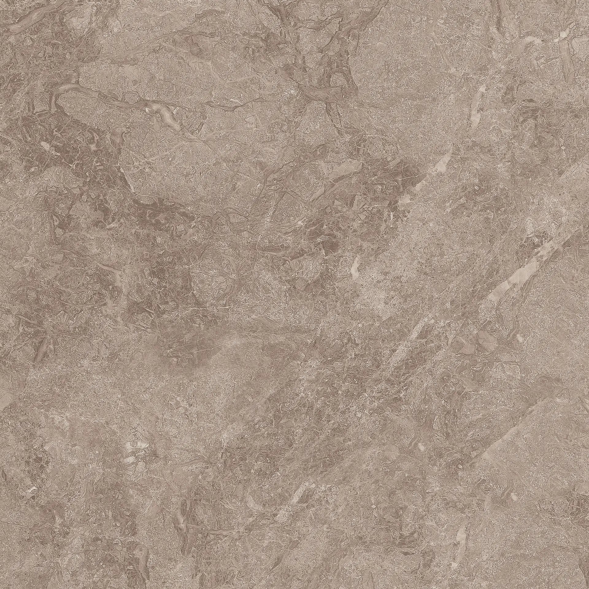 TITANIUM BROWN RMV59.2x59.2